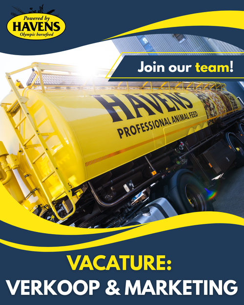 Vacature: Verkoop & Marketing