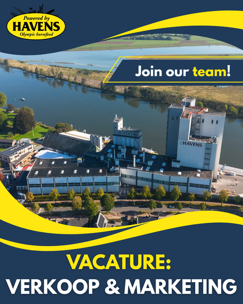 Vacature: Verkoop & Marketing